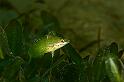 IMG_0861-Edit