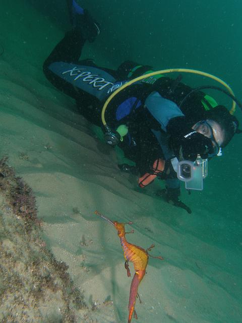 P2177418.JPG - Christine getting ready to take a photo of the weedy seadragon. 17 February, 2007.